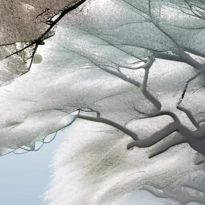 chat with ai character: Miss circle 