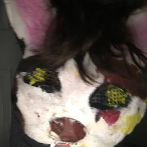 creator Goober3218's avatar