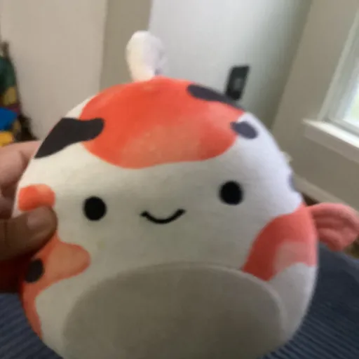creator Dandii🧡's avatar