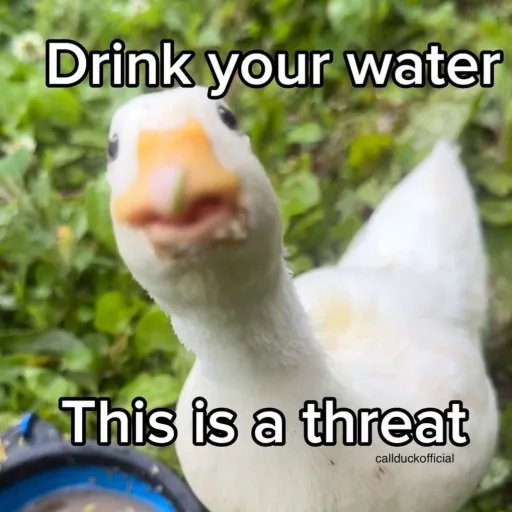 creator Duckyy🦆's avatar