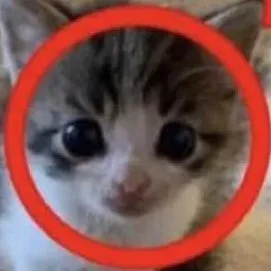 comment user avatar