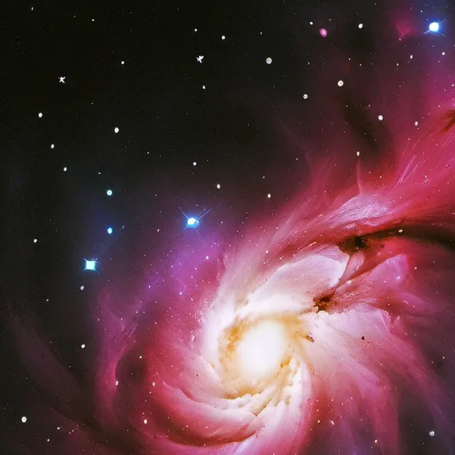 chat with ai character: wally  aus