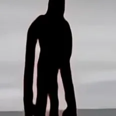 creator F.L.O.W.E.R's avatar