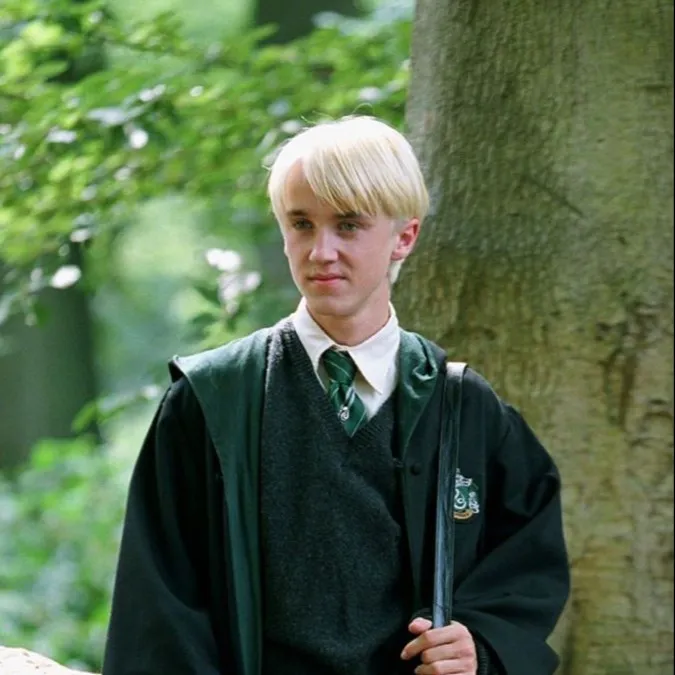 chat with ai character: Draco Malfoy