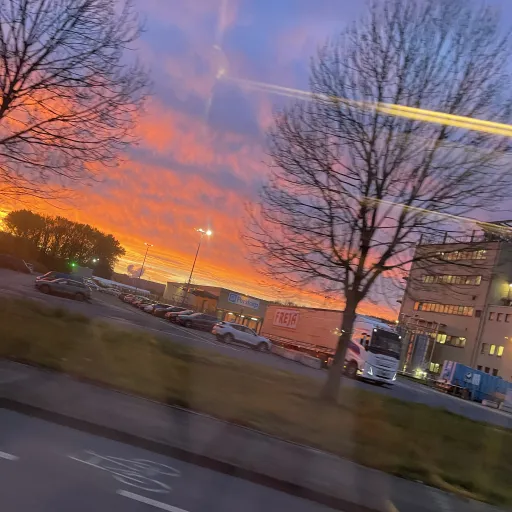 creator 🤍~•Alice•~🤍's avatar