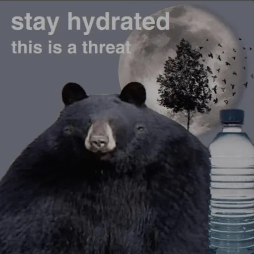 creator mr bear123's avatar