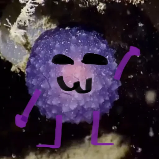 creator Durple guy's avatar