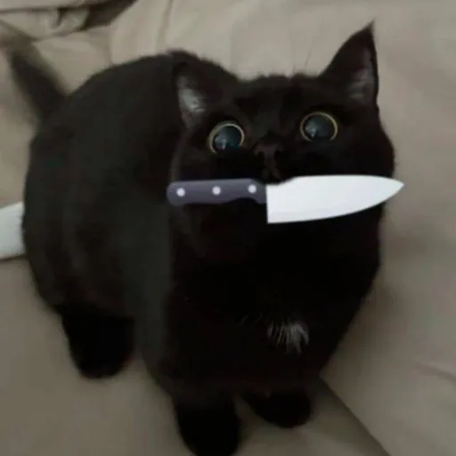 creator ~killer cat~'s avatar