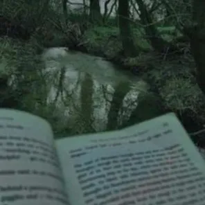 creator ✩🌳ℕ𝕒𝕥𝕦𝕣𝕖🌷✩'s avatar