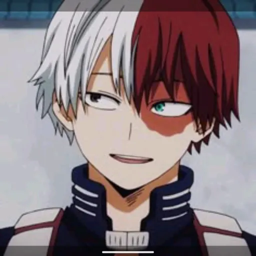 creator Shoto_Todoroki.'s avatar