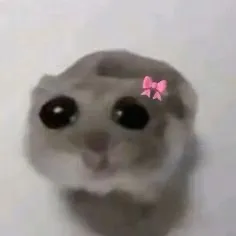 creator urlocalsenpai's avatar