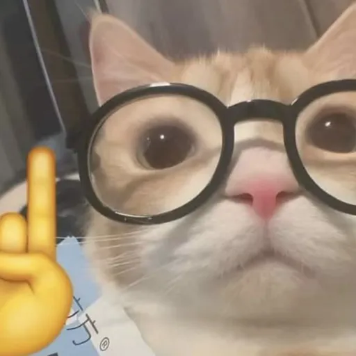 creator Whiskersl's avatar
