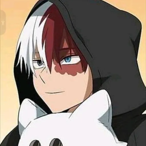 creator ☆shoto todoroki♡'s avatar