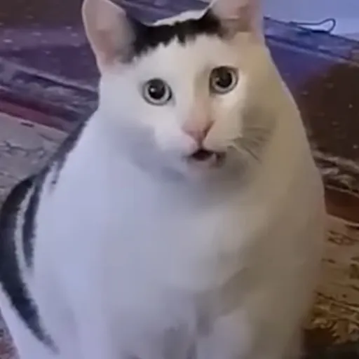 creator (<~\Eatmyass/~>)'s avatar