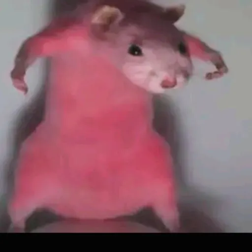 creator refal's avatar