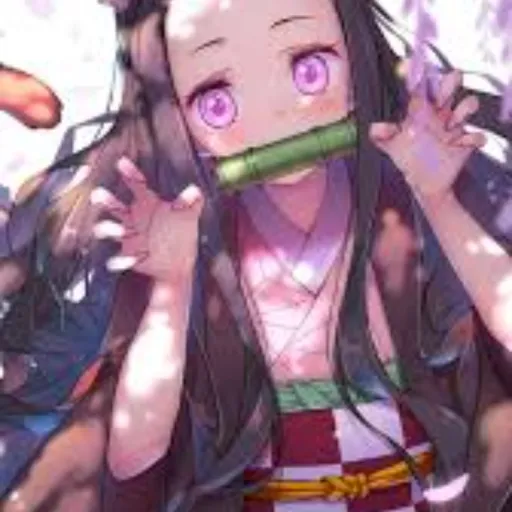creator Nezuko 1000's avatar