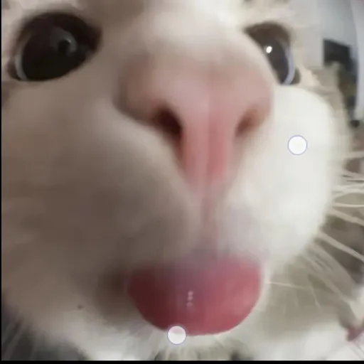 creator Talkior-80BaMg2w's avatar