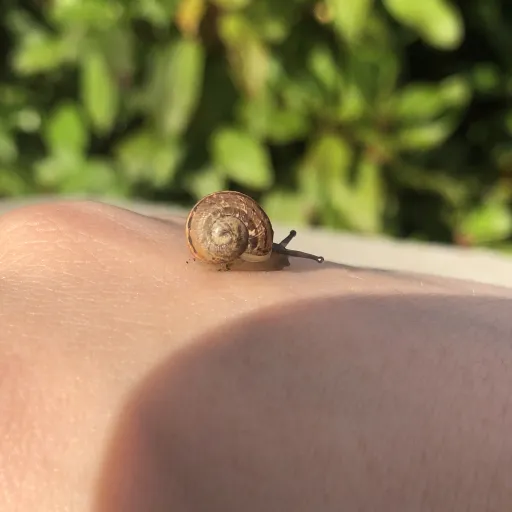 creator 🕷️Summerlily🕷️'s avatar