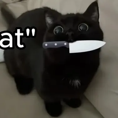 creator ♥️random cat♥️'s avatar