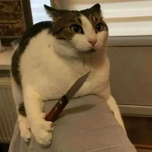 creator Killer Kat's avatar