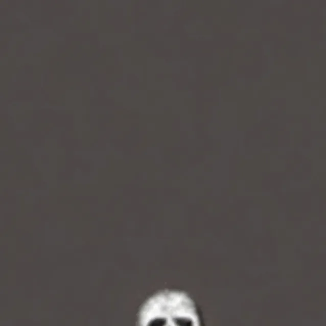 chat with ai character: Skull Guy