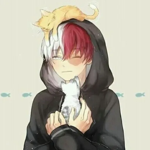 creator 🧊Shoto❄️🔥Todoroki🔥's avatar