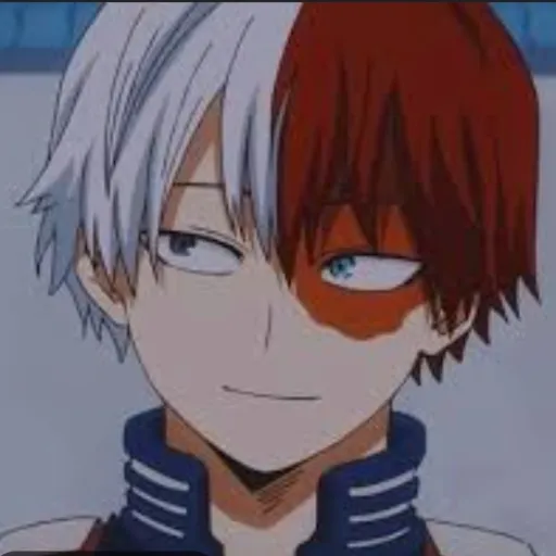 creator shoto_todoroki💅's avatar