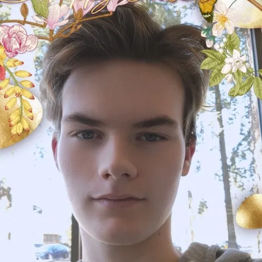 creator qSolus's avatar