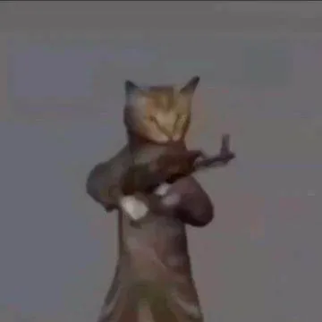 creator Talkior-qfWuttfl's avatar