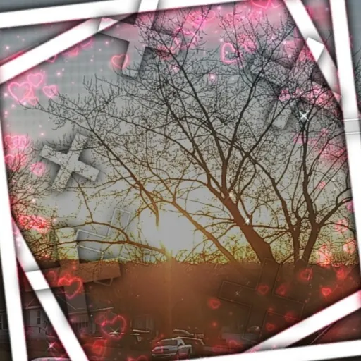 creator iluvprettyskys<3's avatar