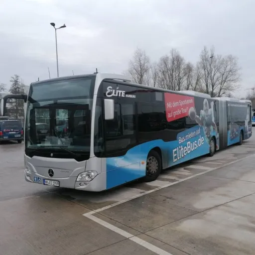 creator Citaro-C2K 494's avatar