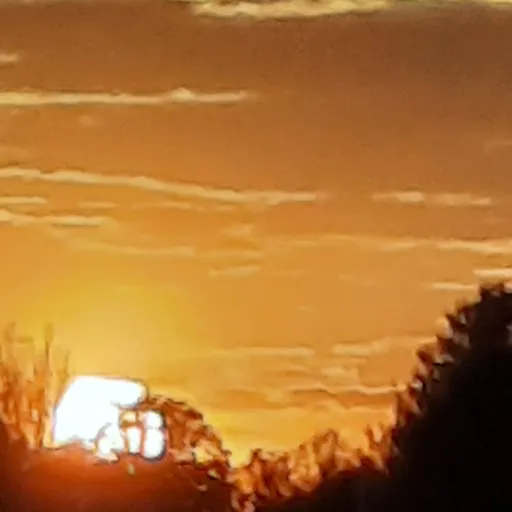 creator sunset mama's avatar