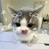 comment user avatar
