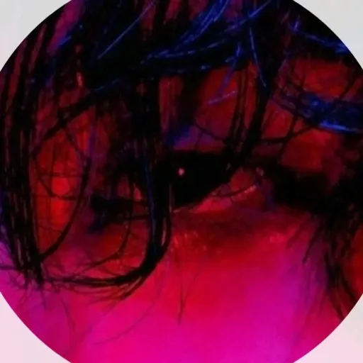 creator Avi warner's avatar