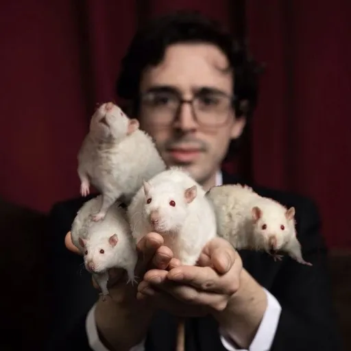 creator 🐀Rats🐀 (🍋☎️/🔳🔲/🌴🌈)'s avatar