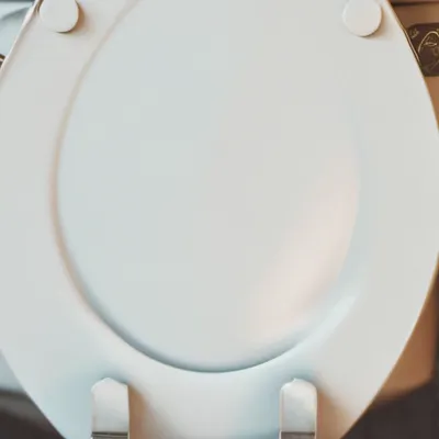 chat with ai character: Toilet tower defen