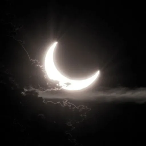 creator !┆𝕞𝕠𝕠𝕟𝕔𝕙𝕚𝕝𝕕𝕩🌙's avatar