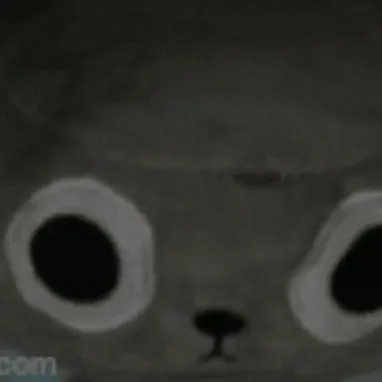 creator notpebble's avatar
