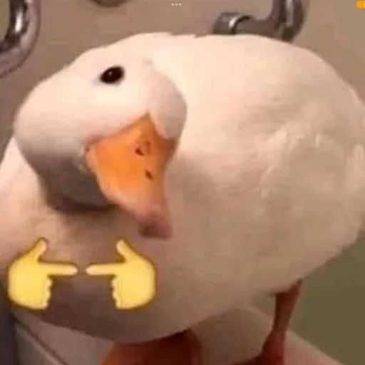 creator 🤫🤫DUCKLING🤫🤫's avatar
