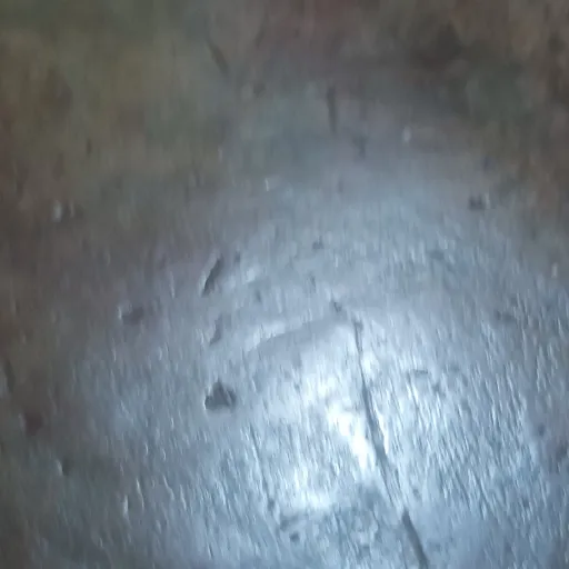 creator a floorXxx's avatar