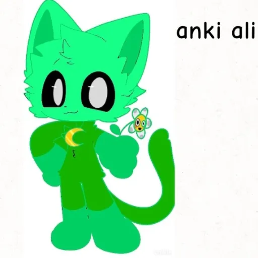 creator Anki ali's avatar