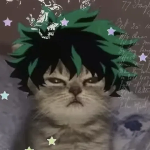 creator 💥🥦Midoriya💚🧡's avatar