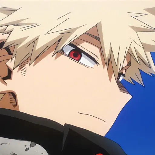 creator •~Katsuki Bakugo~•'s avatar