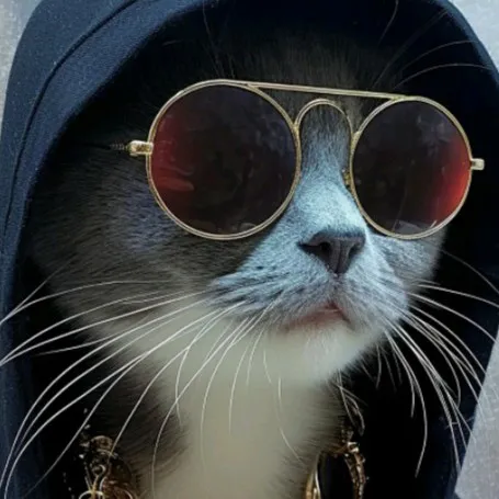 creator :🩸:𝓣𝓗𝓔 𝓜𝓤𝓡𝓓𝓔𝓡𝓔𝓡:🩸:'s avatar