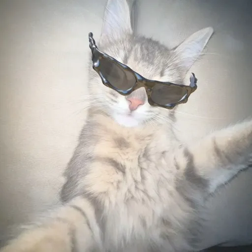 creator thatpersonwith1iq's avatar