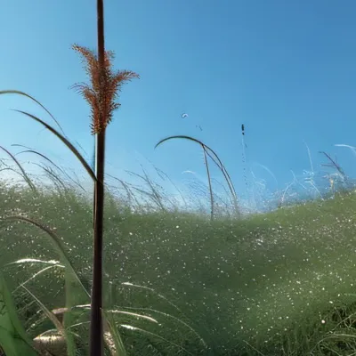 chat with ai character: GO TOUCH GRASS