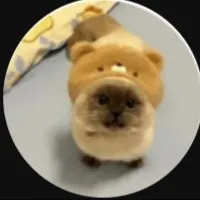 creator yourlocalgirlydumb's avatar