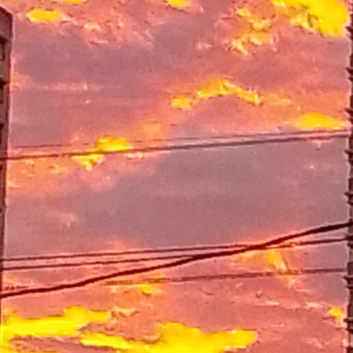creator ★🧡~orange sky~🧡★'s avatar
