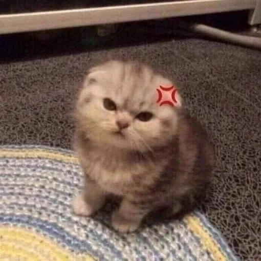 creator 이소우's avatar