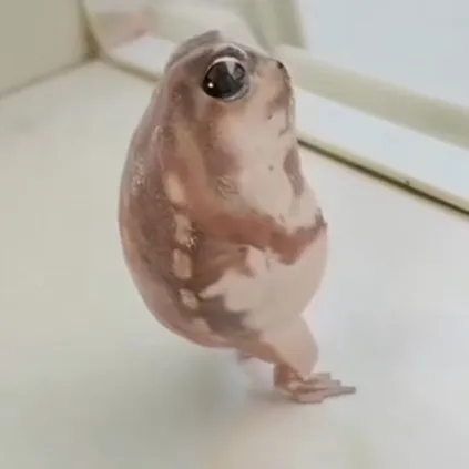 creator Meangirls…'s avatar